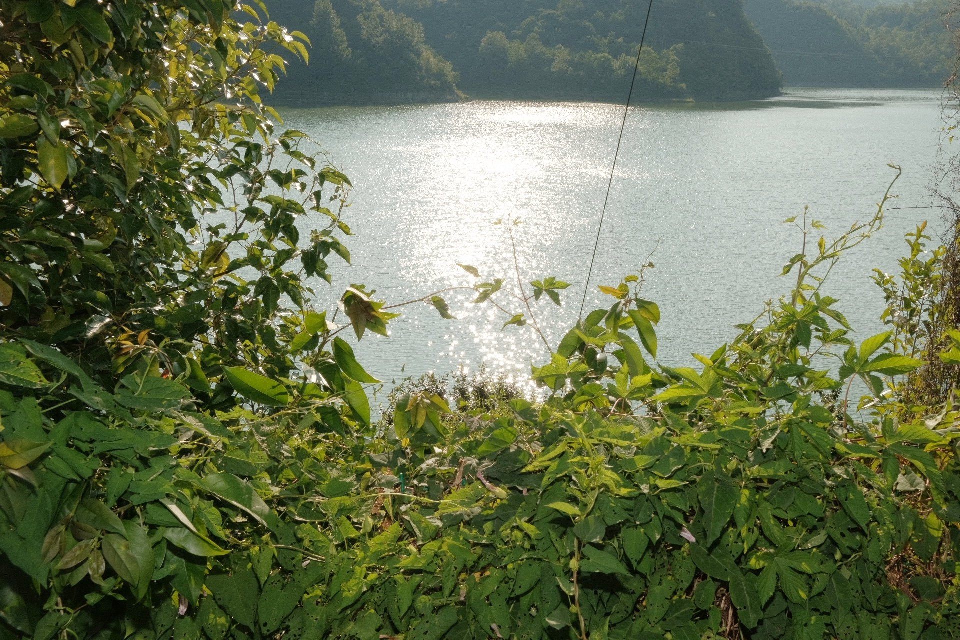 A stone window frame around distant trees and water