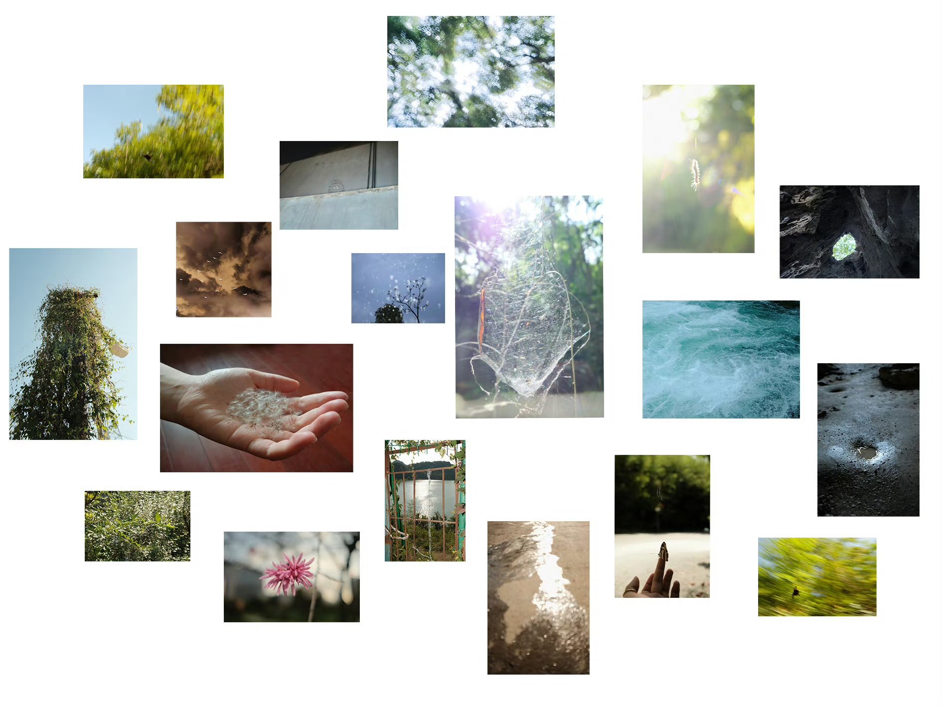 A collage of several photographs